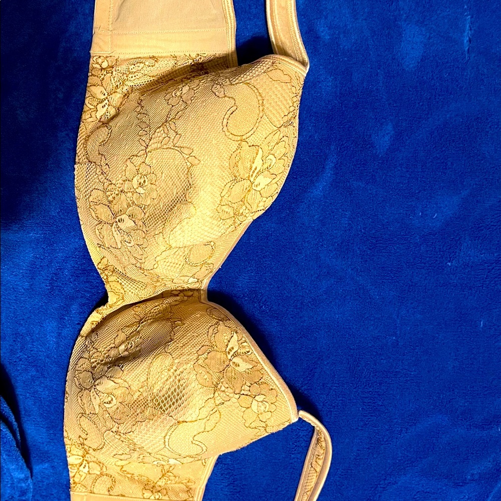 Lane Bryant Bra